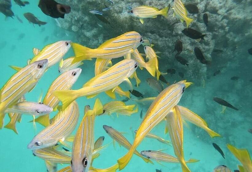 پانسیون Thundee Inn