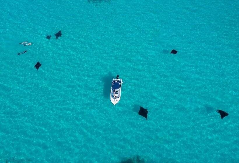 پانسیون Thundee Inn