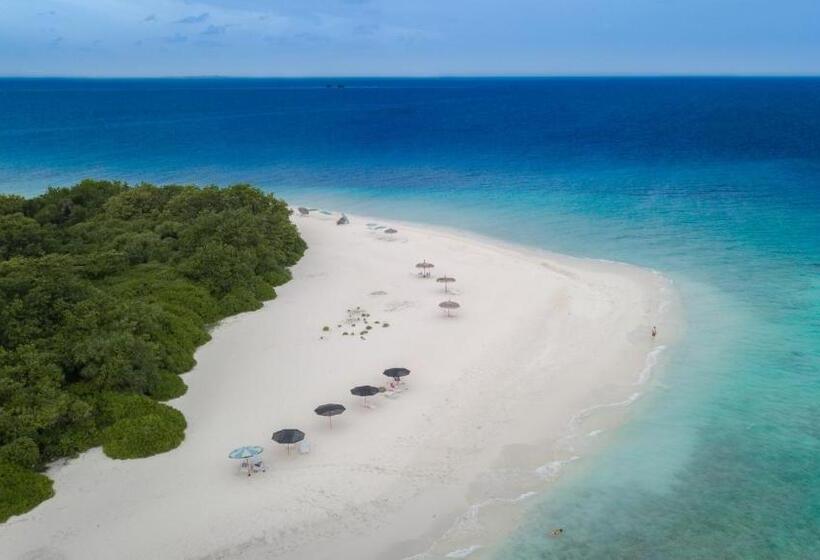 پانسیون Palm Oasis At Ukulhas