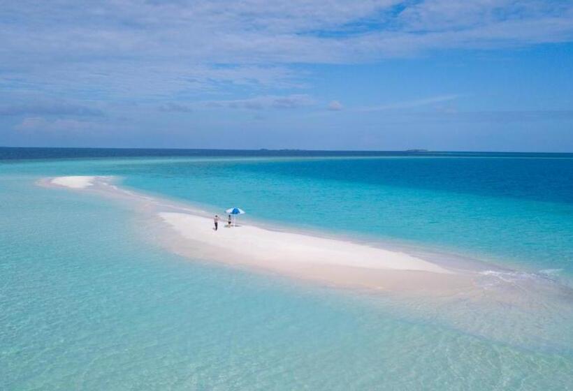 پانسیون Palm Oasis At Ukulhas