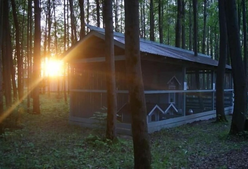 Provence Hotel 4 Seasons