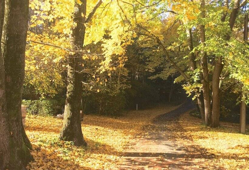 Sherwoode Bed And Breakfast