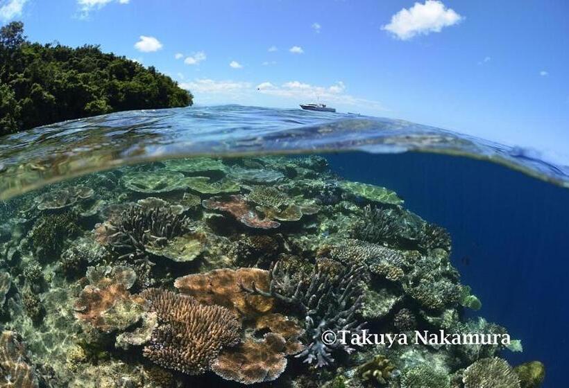 Tawali Leisure & Dive Resort