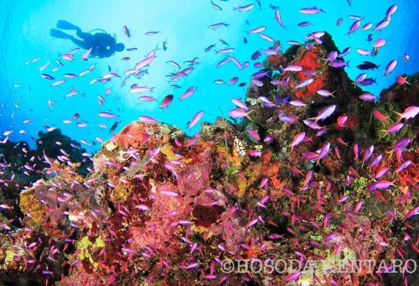 Tawali Leisure & Dive Resort