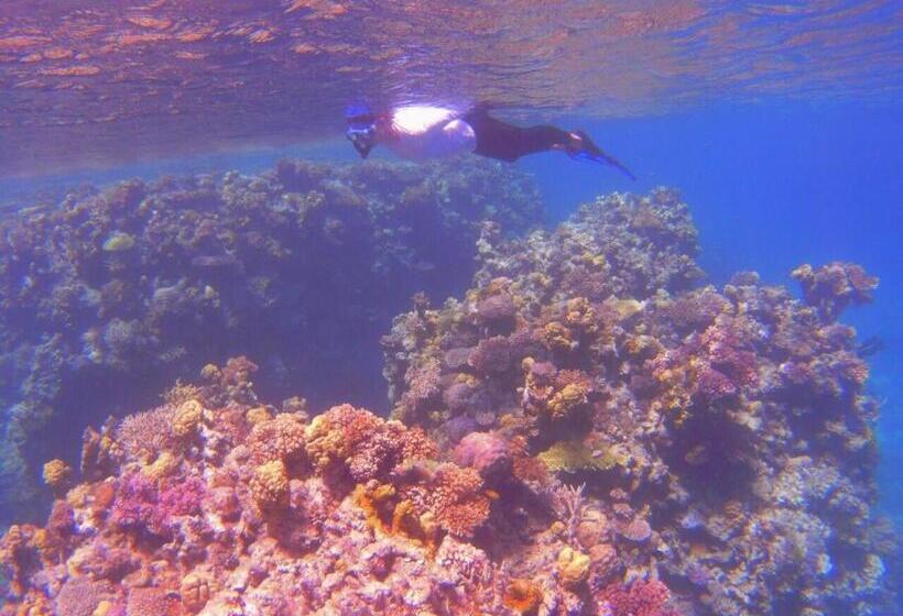 Tawali Leisure & Dive Resort