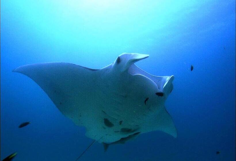 Tawali Leisure & Dive Resort