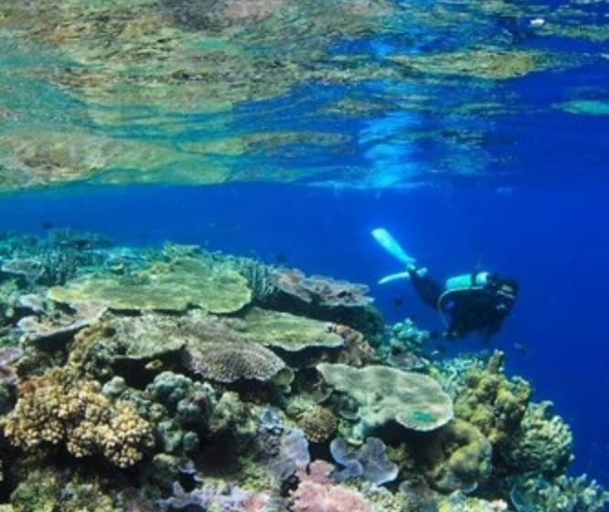 Tawali Leisure & Dive Resort