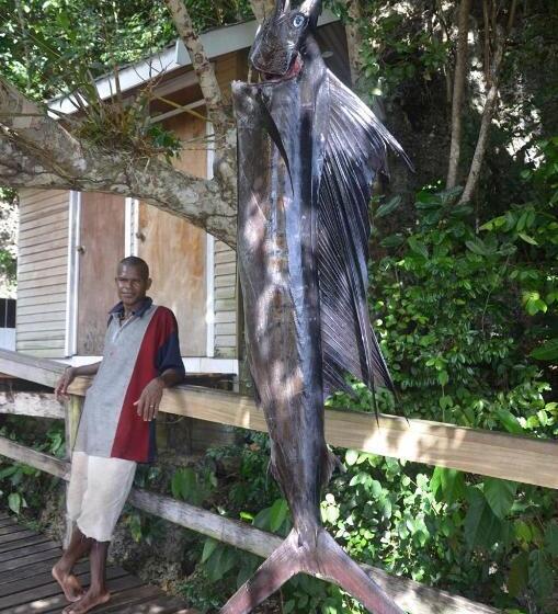 Tawali Leisure & Dive Resort