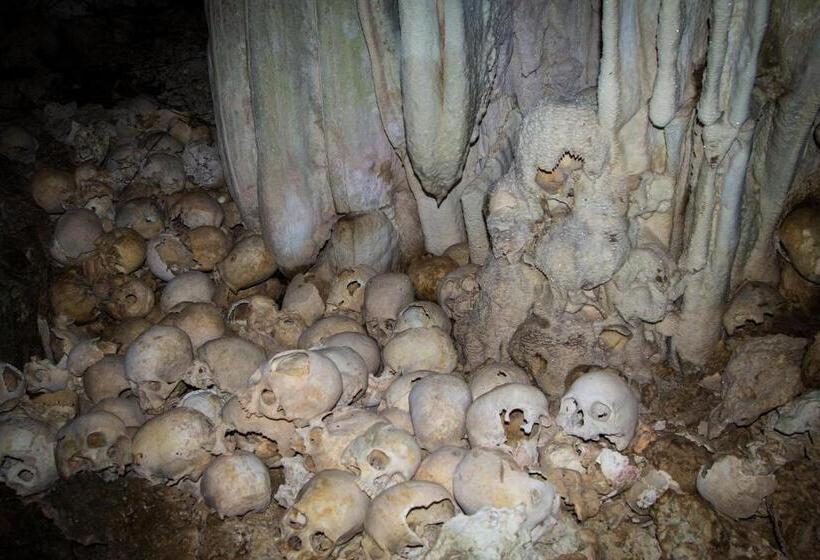 Tawali Leisure & Dive Resort