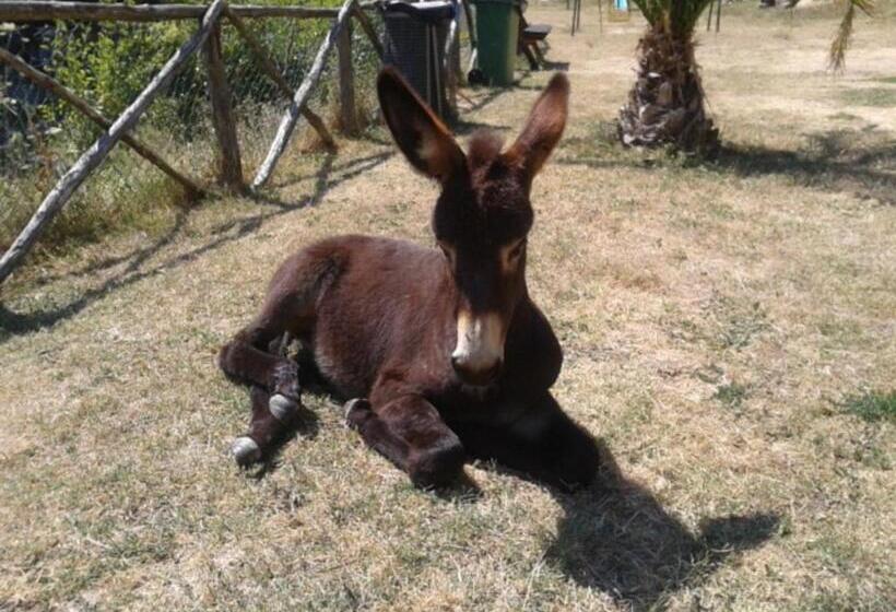 Agriturismo Le Cannucceta