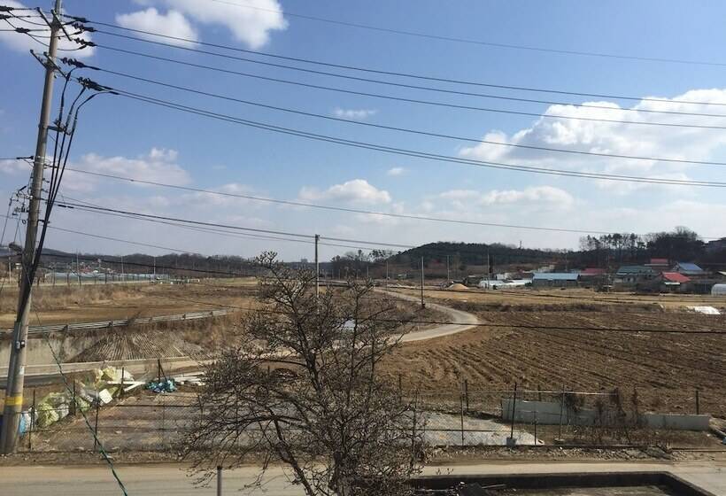 Albergue The Guesthouse Dmz Stay