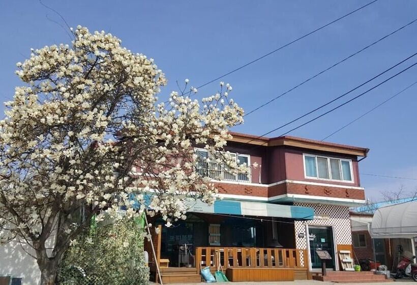 Albergue The Guesthouse Dmz Stay