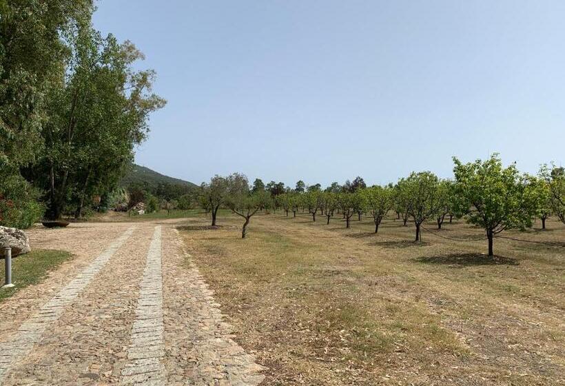 Bed and Breakfast Relais Benemari