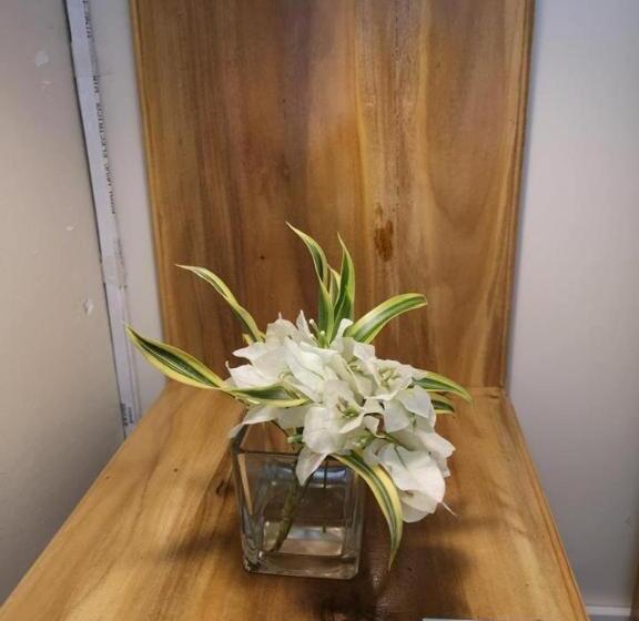 تختخواب و صبحانه Tropical Stay Accommodations