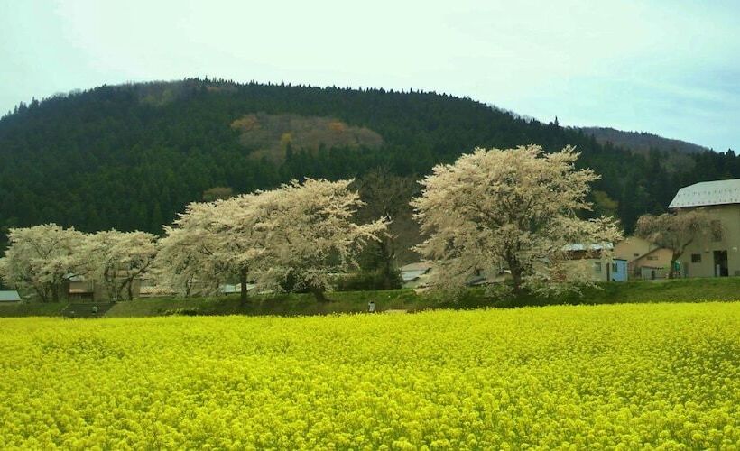 Gotou Hotel   Hostel