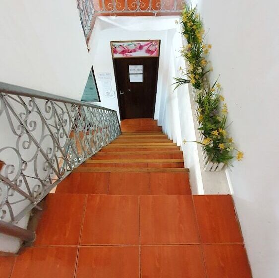 Green Box Hotel Hostel