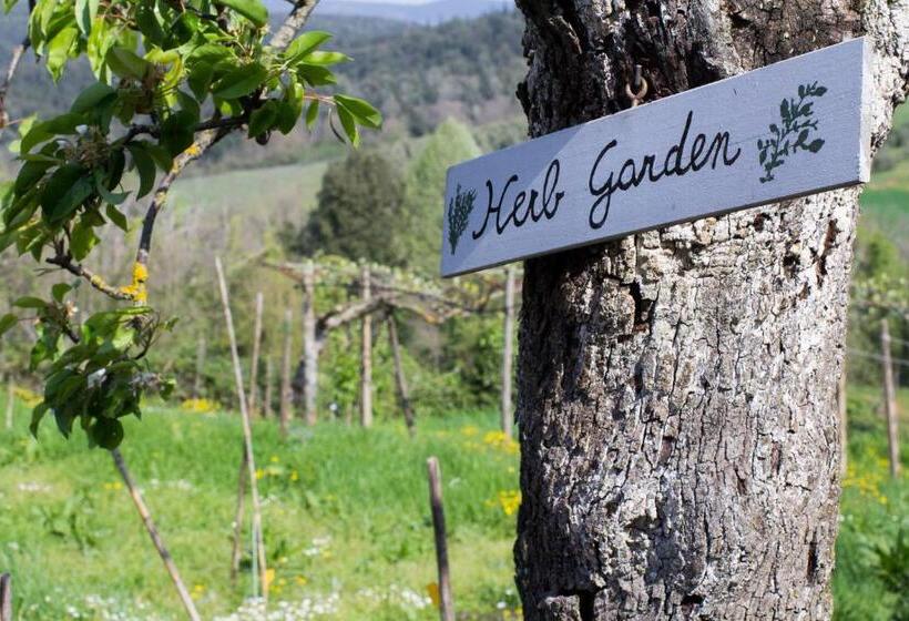 בית מלון כפרי Borgo Villa Certano   Case Vacanza In Toscana