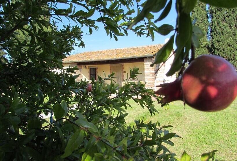 酒店 Agriturismo Pretenzano