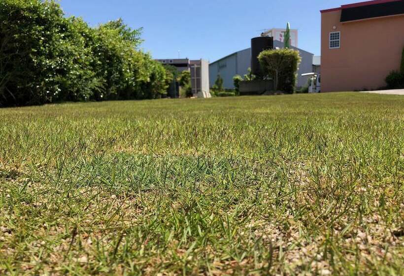 Awajishima Hotel Lodge Green Cozy