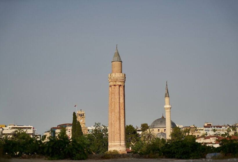 בית מלון כפרי Ces Club