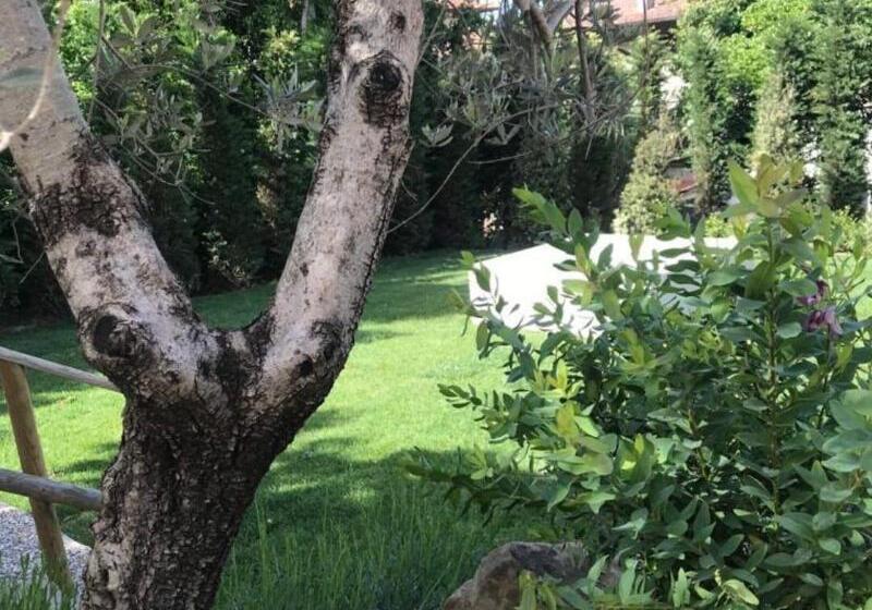 Отель Dormiveglia B&b