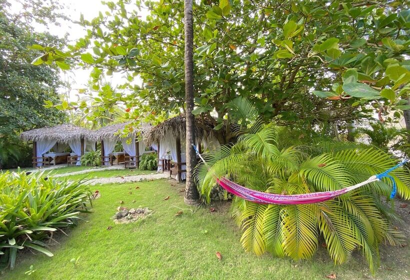 酒店 Ducassi Suites Rooftop Pool Beach Club & Spa