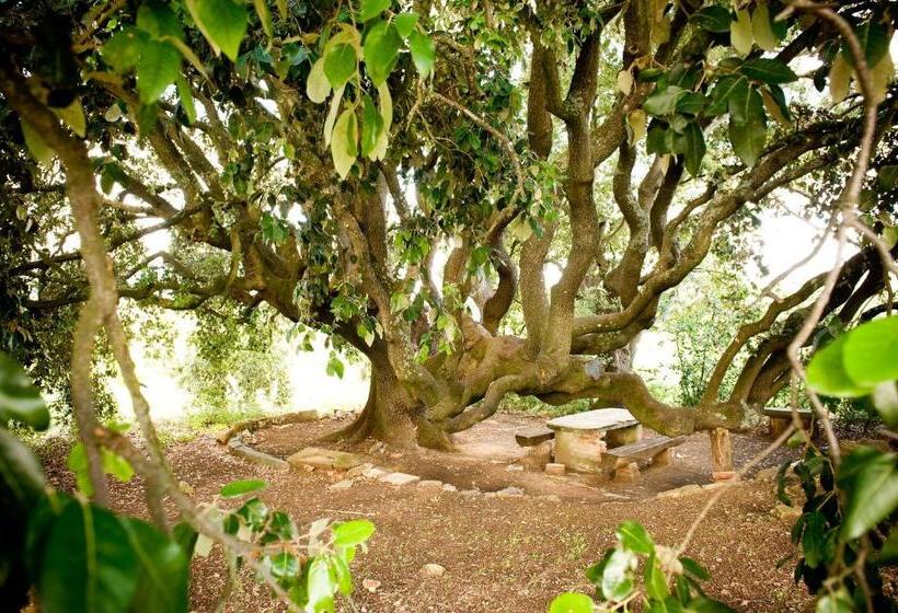 ホテル Fattoria Casabianca