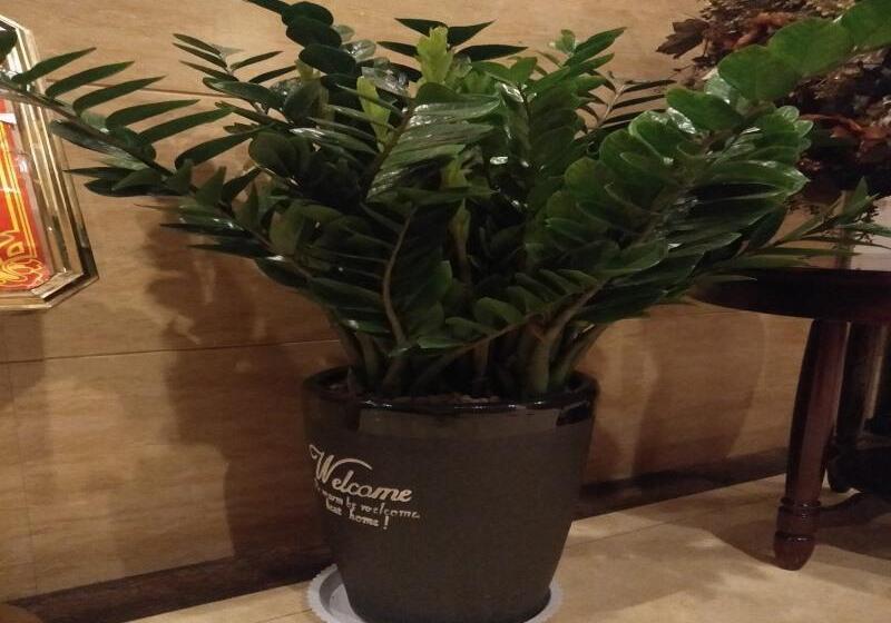 호텔 Greentree Inn Shangqiu Guide Road