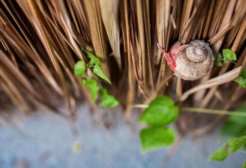 فندق Koh Mook De Tara Beach Resort