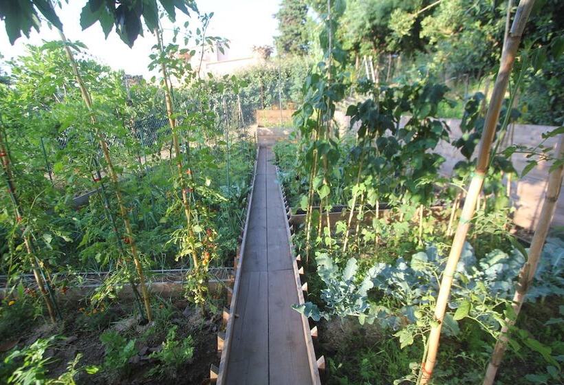 호텔 La Villa Corsica