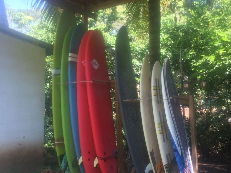 فندق Papaya Lodge Las Flores