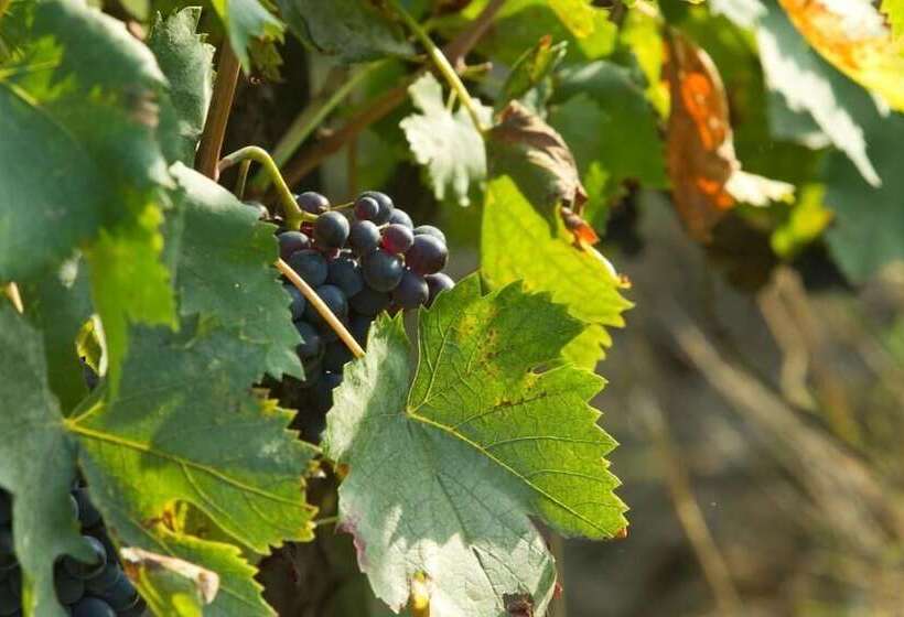 هتل Podere San Lorenzo