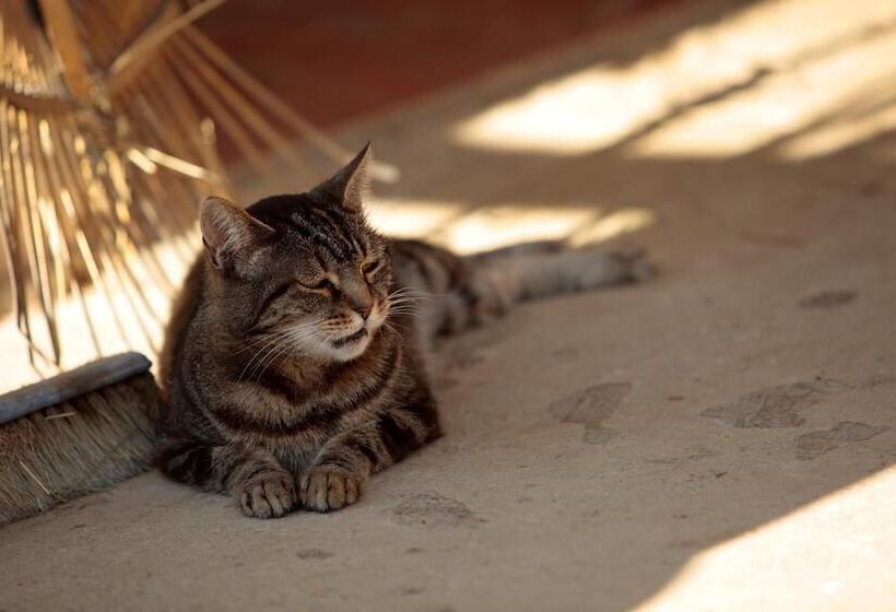 هتل Podere San Lorenzo