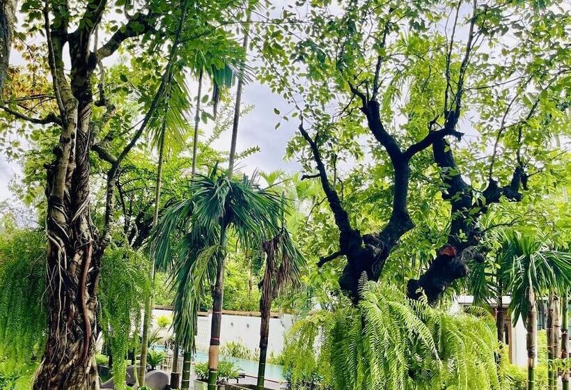 בית מלון כפרי Tai Resort