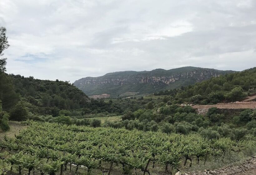 Terra Dominicata Hotel & Winery Adults Only