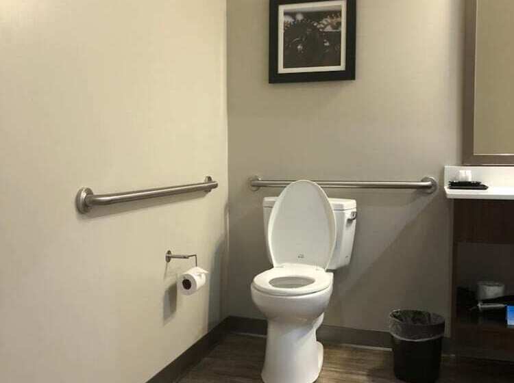 فندق The Mulberry