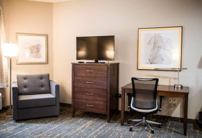 فندق The Mulberry