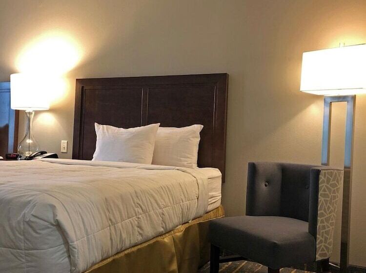 فندق The Mulberry