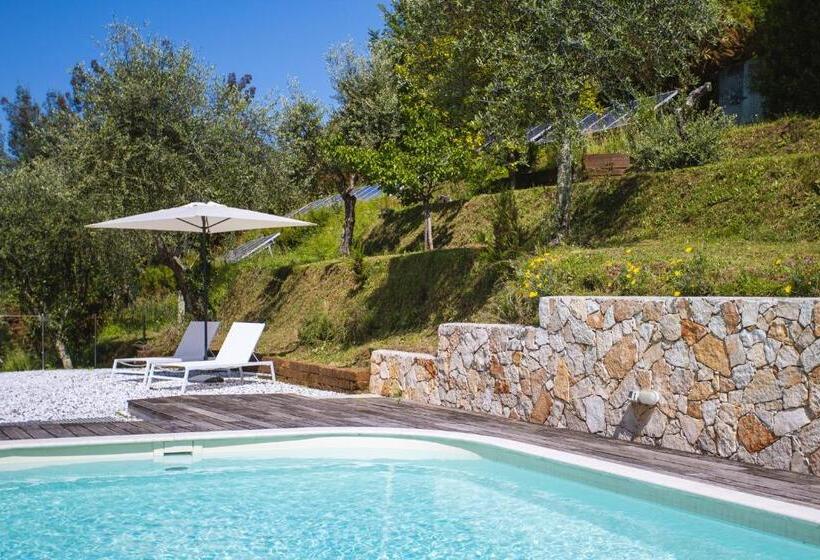 酒店 Villa Borgovecchio B&b