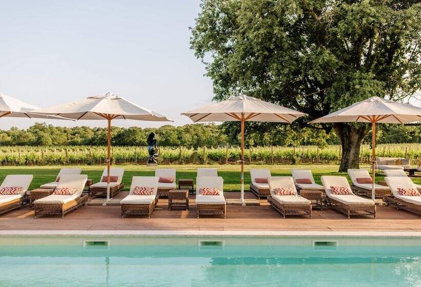 Meneghetti Wine Hotel And Winery   Relais & Chateaux