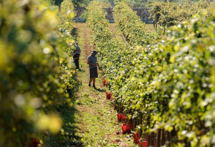 Meneghetti Wine Hotel And Winery   Relais & Chateaux