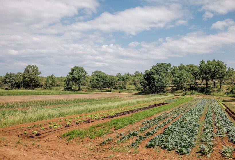 Meneghetti Wine Hotel And Winery   Relais & Chateaux