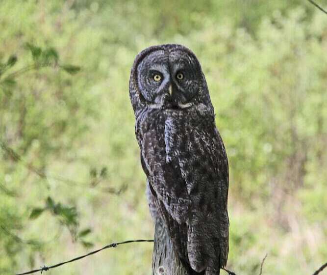 فندق على الطريق Schott’s Lake Conference & Resort