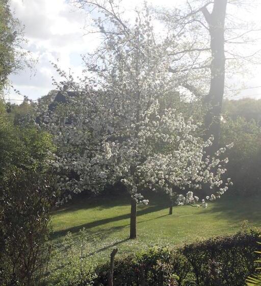 بنسيون Au Charme Du Lac Piscine Chauffé Proche Parc Et Restaurant Du Casino