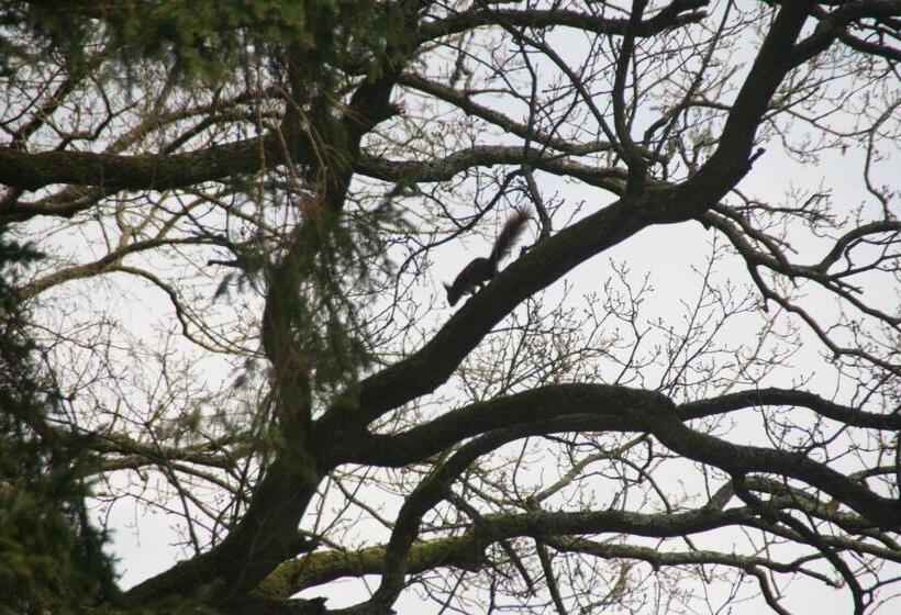 بنسيون Au Charme Du Lac Piscine Chauffé Proche Parc Et Restaurant Du Casino