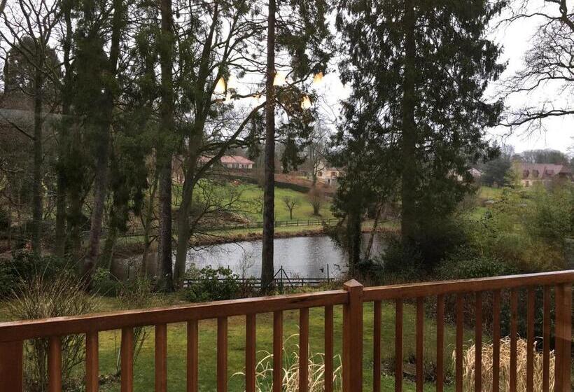 بنسيون Au Charme Du Lac Piscine Chauffé Proche Parc Et Restaurant Du Casino