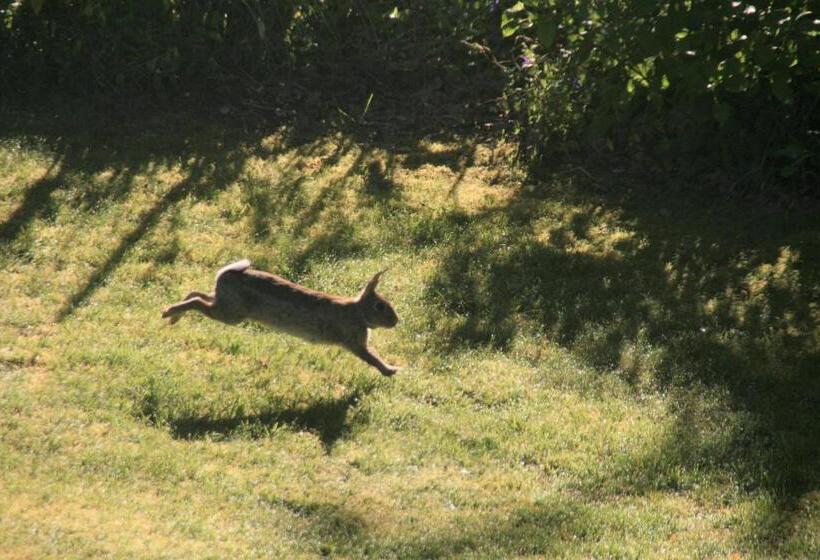 بنسيون Au Charme Du Lac Piscine Chauffé Proche Parc Et Restaurant Du Casino