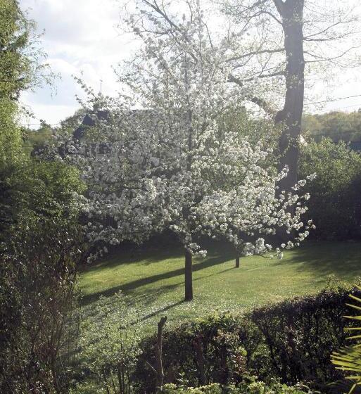 بنسيون Au Charme Du Lac Piscine Chauffé Proche Parc Et Restaurant Du Casino