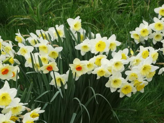 펜션 Chambres D Hôtes  Moulin Du Couedic