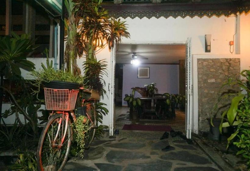 פנסיון Frangipani Guest House